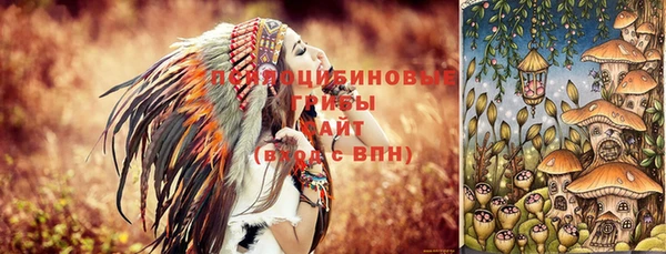 МДМА Алексеевка