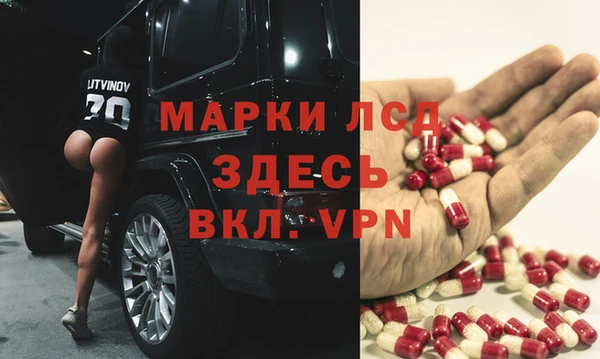 винт Алзамай